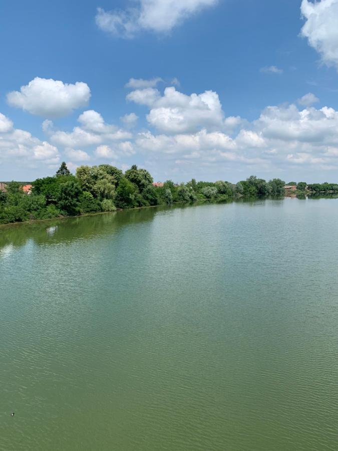 Bungalovi Blagojevic Morovic Экстерьер фото
