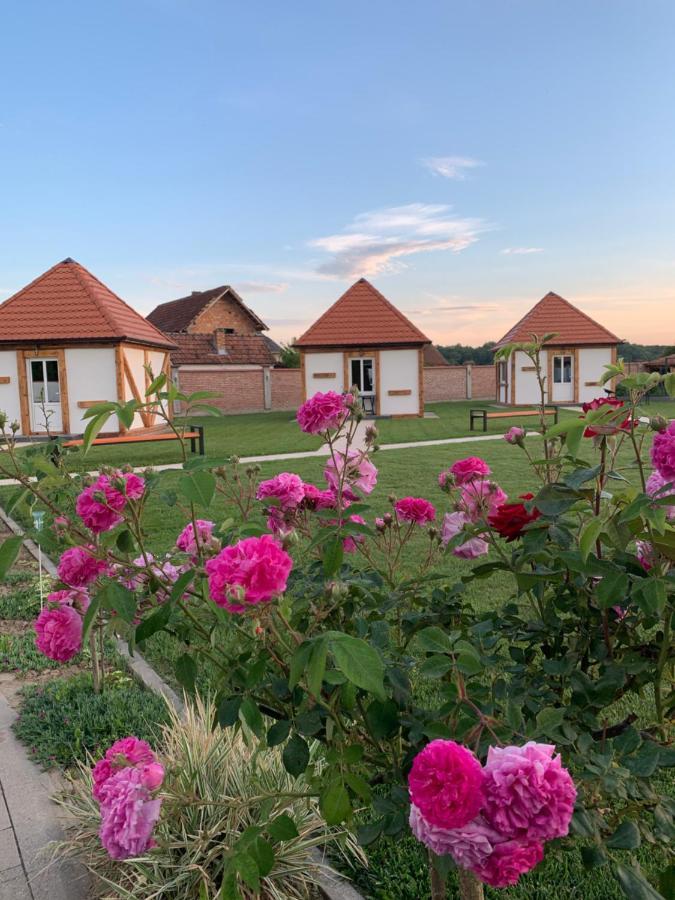 Bungalovi Blagojevic Morovic Экстерьер фото